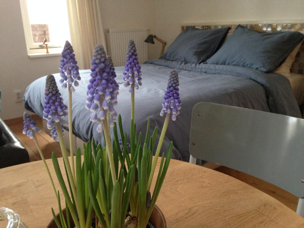Bij En Boom Bed & Breakfast Drachten Rom bilde